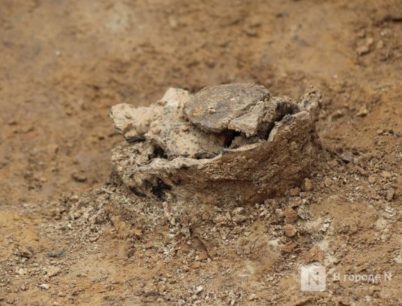 14 древних захоронений обнаружили археологи под Вачей - фото 6