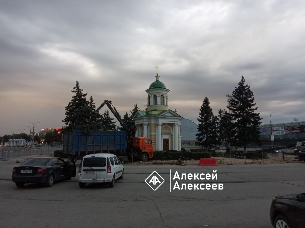 22 ели высадят на Свадебной площади в Дзержинске взамен вырубленных - фото 2