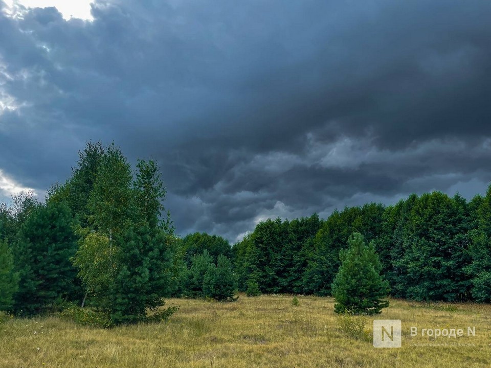 30 июня станет самым холодным днем в Нижнем Новгороде с 1975 года - фото 1