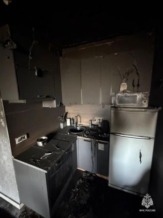 Взрослого и ребенка эвакуировали из-за пожара в многоэтажке в Нижнем Новгороде - фото 2