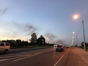 Эксперт: тучи комаров в Новинках представляют опасность для нижегородцев